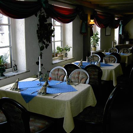 Landhotel Am Fuchsbach Berga  Екстериор снимка
